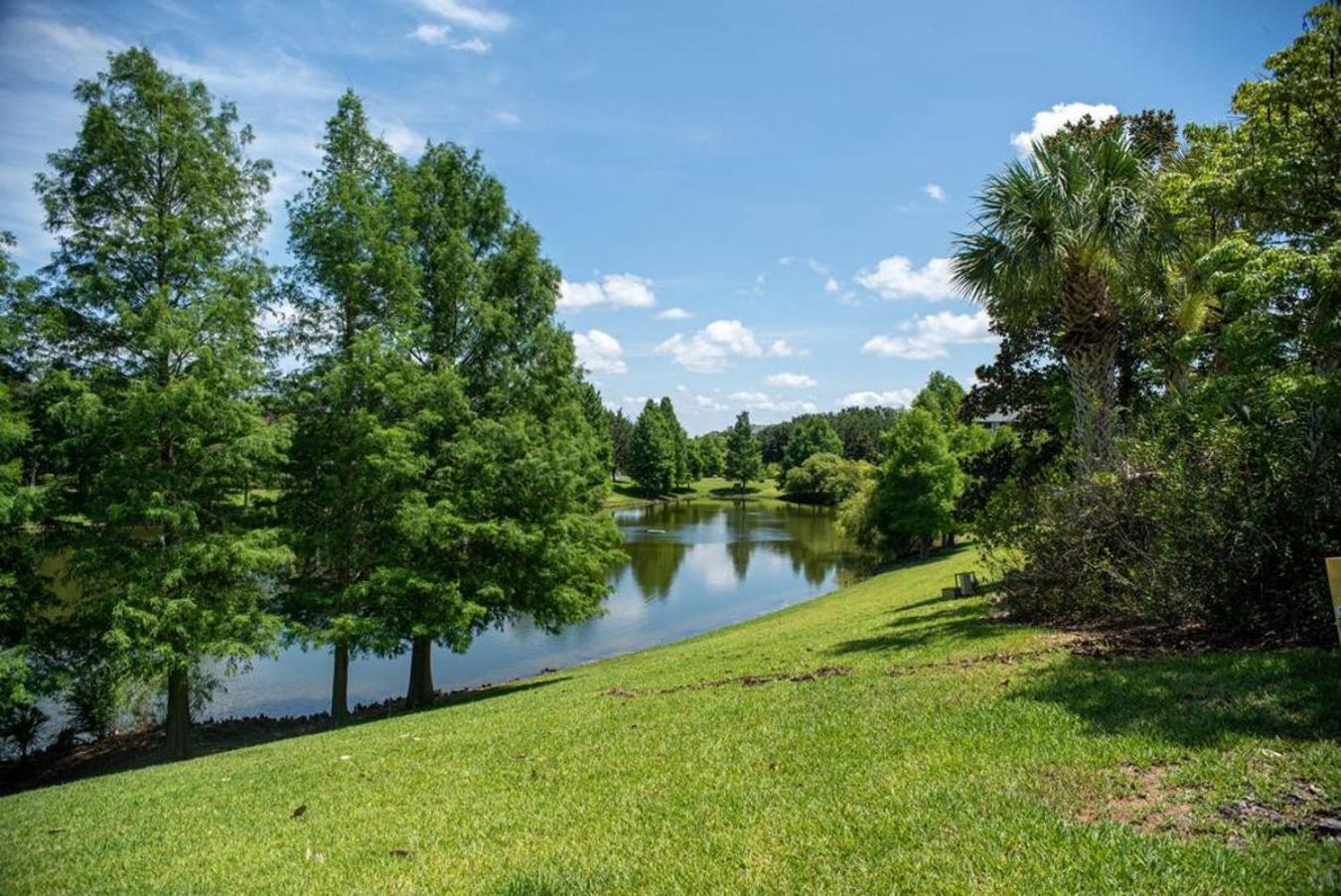 Near Kissimmee